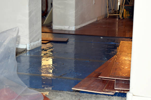 Professional Burst Pipe Cleanup technician working in Edgemoor, SC